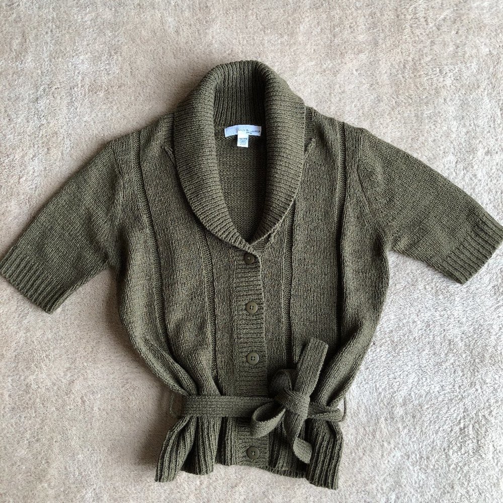 HOST PICK Lucy & Laurel Short-Sleeved Sweater Size MP or Regular Small
